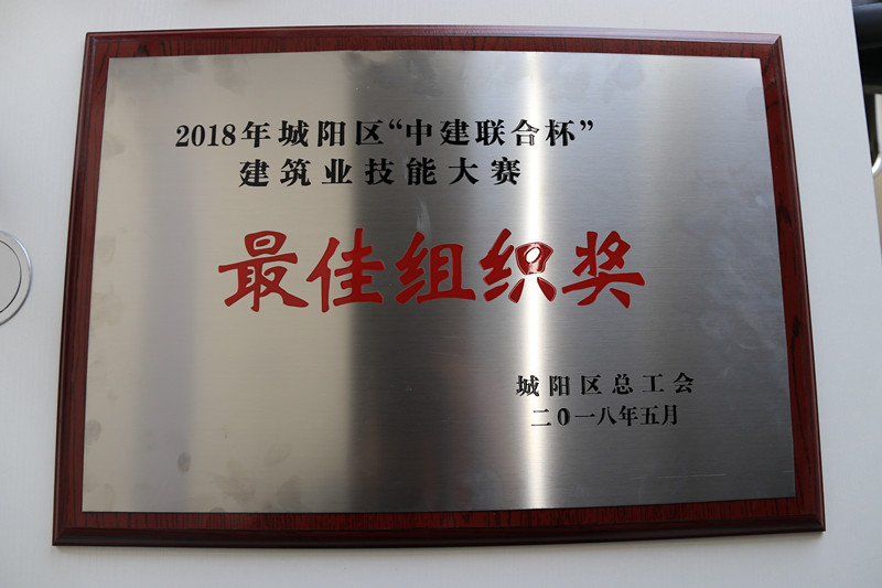 “性爱直播
杯” 城阳区建筑业职业技能大赛成功举办(图4)