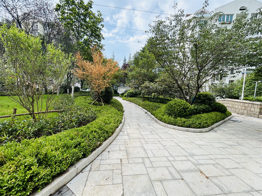 创新模式打造品质社区——青岛市永嘉路二片区老旧小区改造项目(图12)