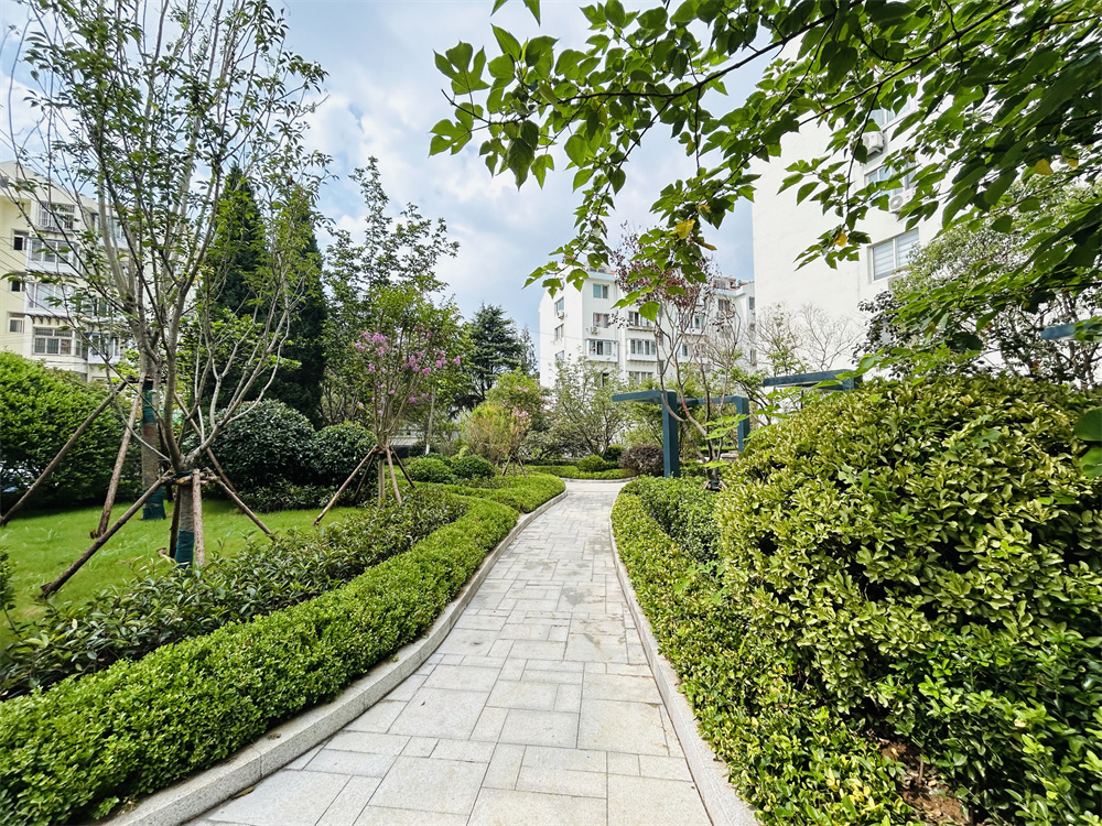 创新模式打造品质社区——青岛市永嘉路二片区老旧小区改造项目(图13)