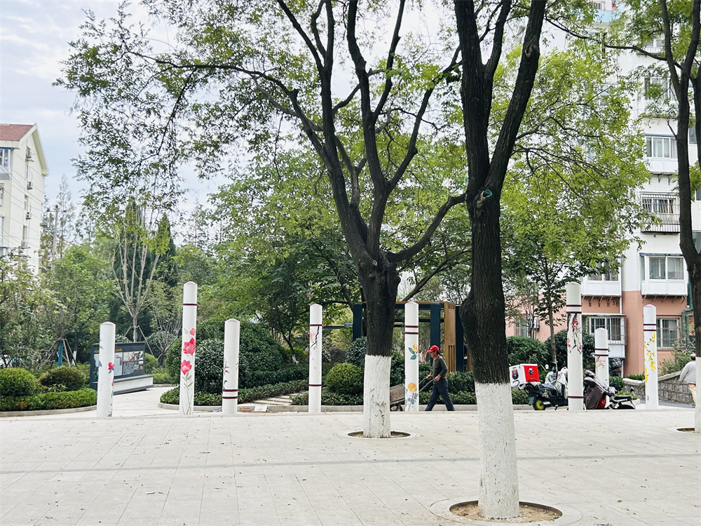 创新模式打造品质社区——青岛市永嘉路二片区老旧小区改造项目(图14)